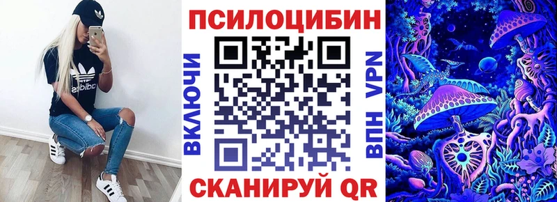blacksprut tor  Пласт  Галлюциногенные грибы мицелий 